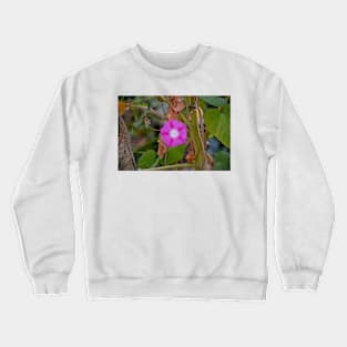 Albuquerque Old Town Study 4 Crewneck Sweatshirt